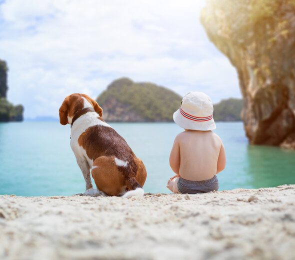 Dziecko i pies siedzą na plaży nad brzegiem jeziora. W tle widać wodę i skały. Dziecko ma kapelusik na głowie. Pies ma biało brązowe umaszczenie. 