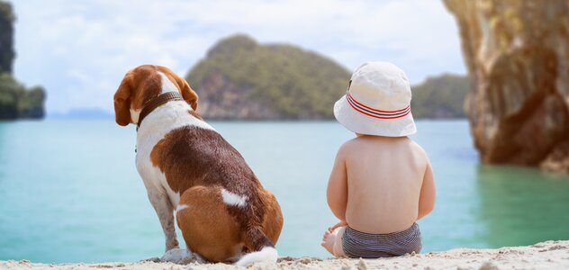 Dziecko i pies siedzą na plaży nad brzegiem jeziora. W tle widać wodę i skały. Dziecko ma kapelusik na głowie. Pies ma biało brązowe umaszczenie. 